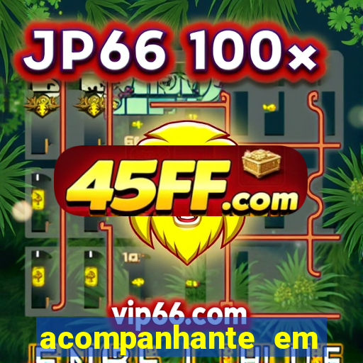 acompanhante em porto velho